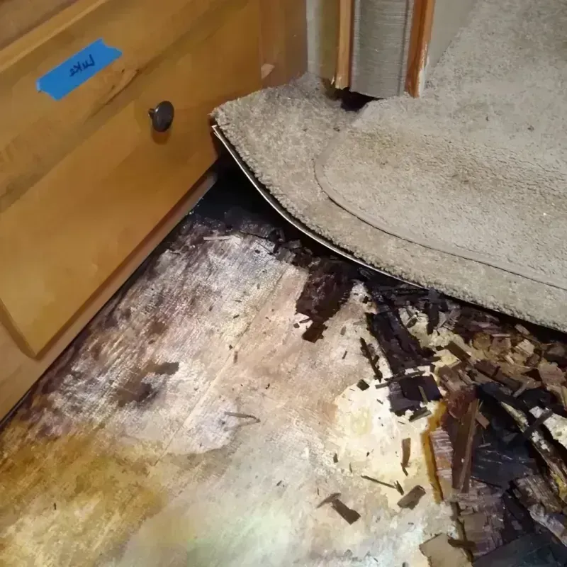 Wood Floor Water Damage in Sandusky, OH